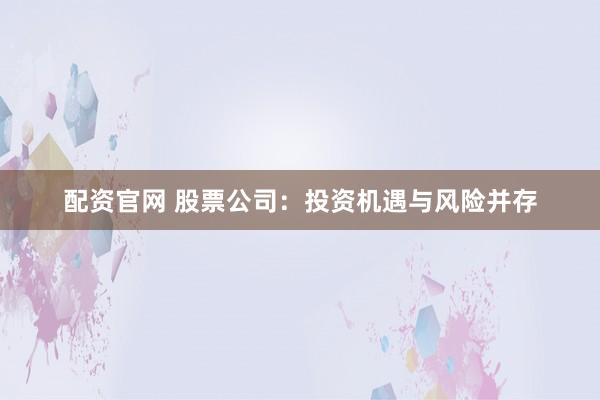 配资官网 股票公司：投资机遇与风险并存