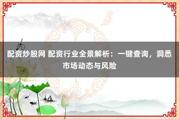 配资炒股网 配资行业全景解析：一键查询，洞悉市场动态与风险