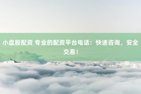 小盘股配资 专业的配资平台电话：快速咨询，安全交易！