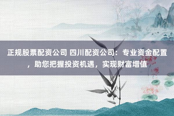 正规股票配资公司 四川配资公司：专业资金配置，助您把握投资机遇，实现财富增值