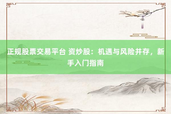正规股票交易平台 资炒股：机遇与风险并存，新手入门指南