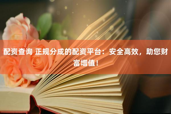 配资查询 正规分成的配资平台：安全高效，助您财富增值！