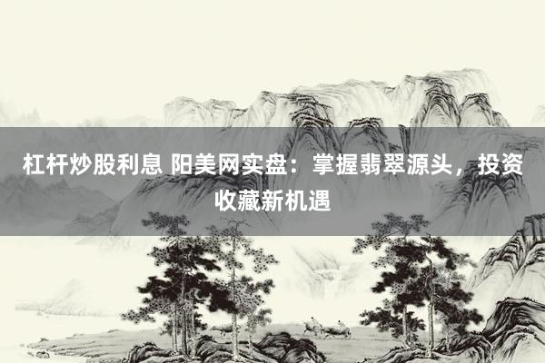 杠杆炒股利息 阳美网实盘:掌握翡翠源头,投资收藏新机遇