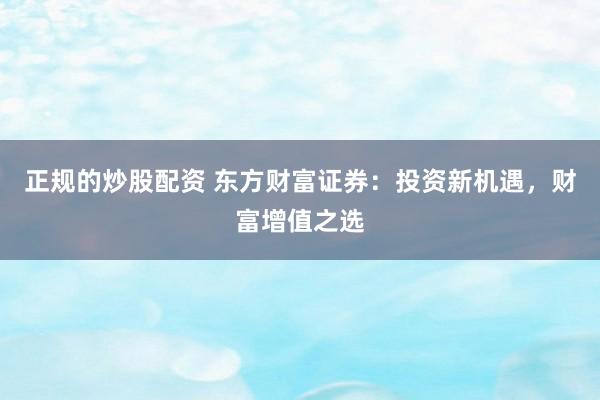 正规的炒股配资 东方财富证券：投资新机遇，财富增值之选