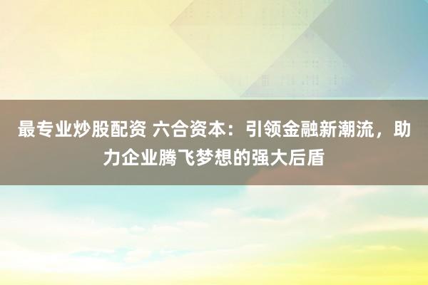 最专业炒股配资 六合资本:引领金融新潮流,助力企业腾飞梦想的强大后盾