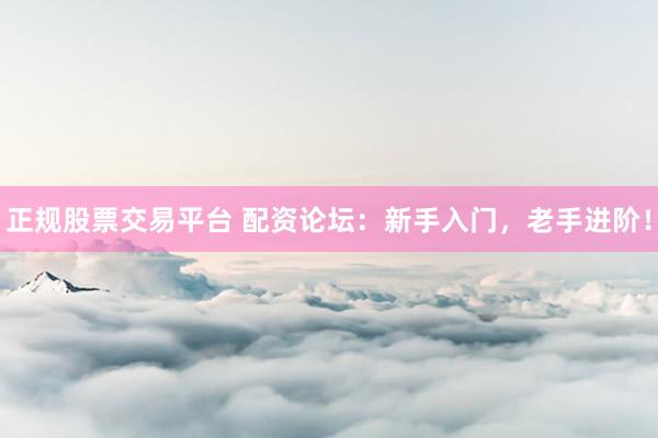 正规股票交易平台 配资论坛：新手入门，老手进阶！